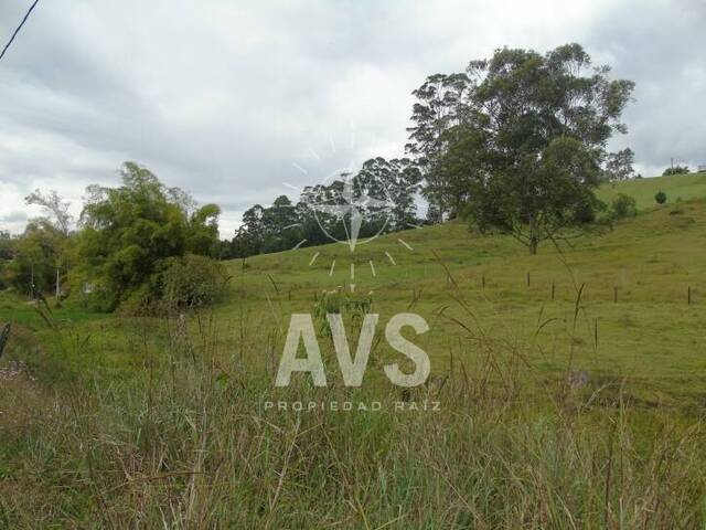 Terreno para Venta en Rionegro - 2