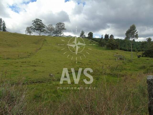 Terreno para Venta en Rionegro - 3