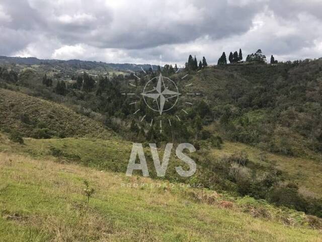 Terreno para Venta en Guarne - 4