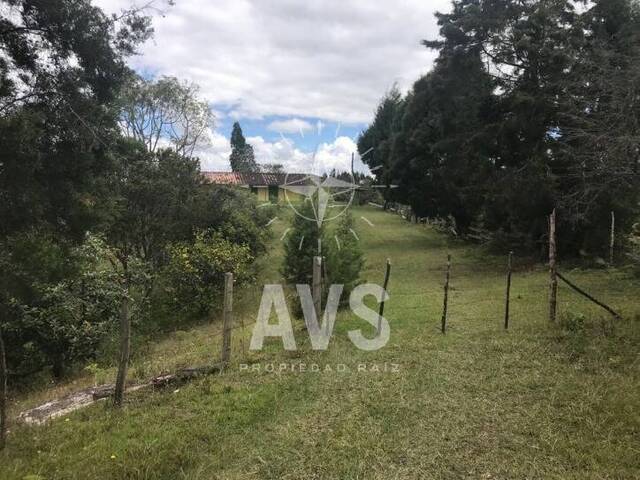 Terreno para Venta en Guarne - 5