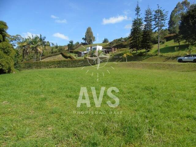 Terreno para Venta en Carmen de Viboral - 2