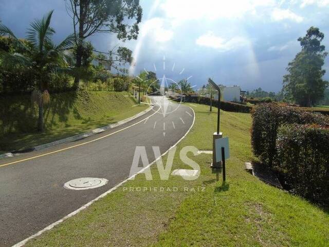 Terreno para Venta en Carmen de Viboral - 3