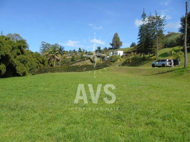 Terreno para Venta en Carmen de Viboral - 4