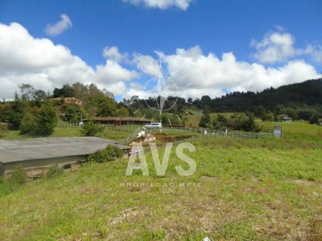 Terreno para Venta en Envigado - 4