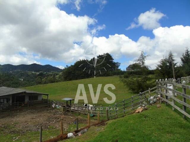 Terreno para Venta en Envigado - 5