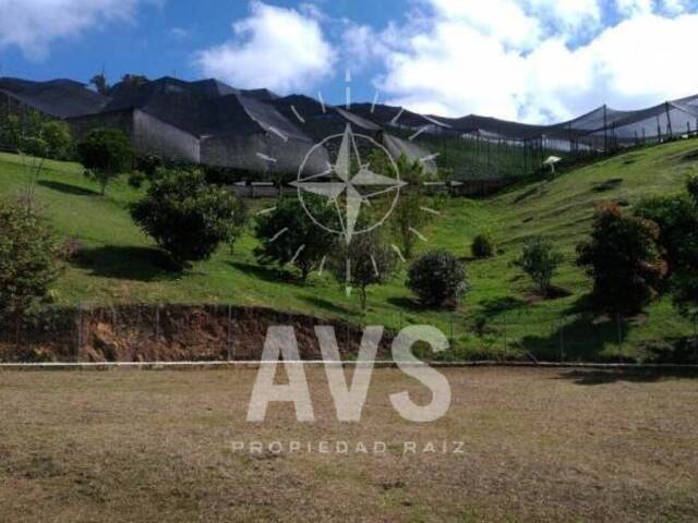 #1585 - Finca para Venta en San Vicente - ANT - 1