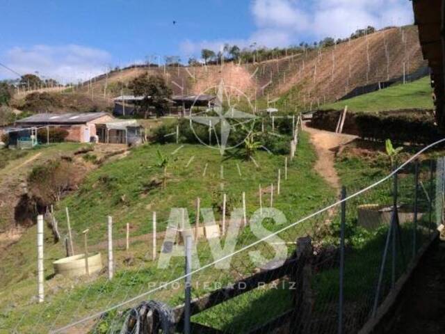 #1585 - Finca para Venta en San Vicente - ANT - 2