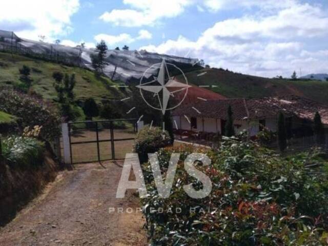 #1585 - Finca para Venta en San Vicente - ANT - 3