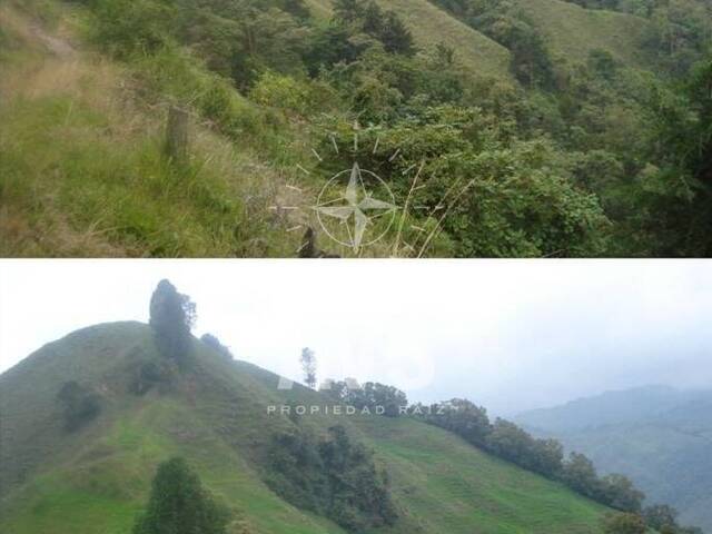 #1584 - Terreno para Venta en Manizales - CAL - 1