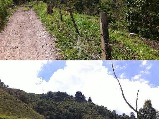 #1584 - Terreno para Venta en Manizales - CAL - 2