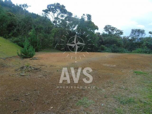 Terreno para Venta en La Ceja - 2