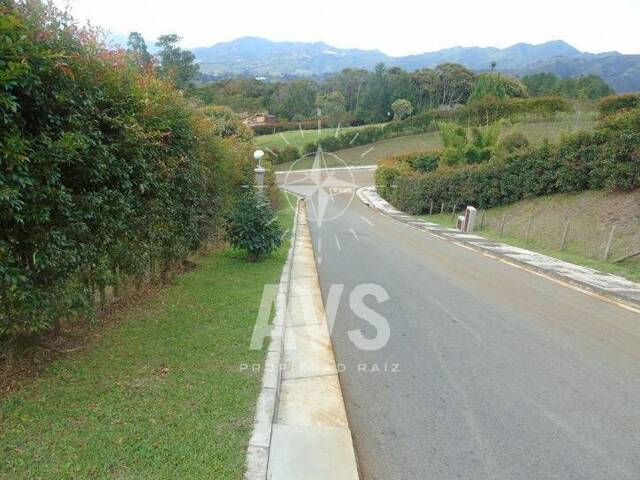 Terreno para Venta en La Ceja - 3