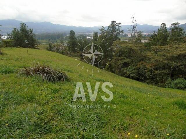 Terreno para Venta en La Ceja - 4