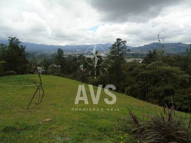 Terreno para Venta en La Ceja - 5