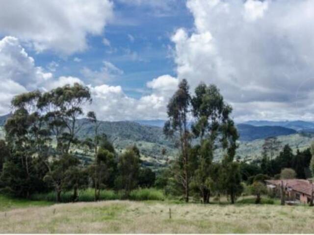 #1446 - Terreno para Venta en Envigado - ANT - 2