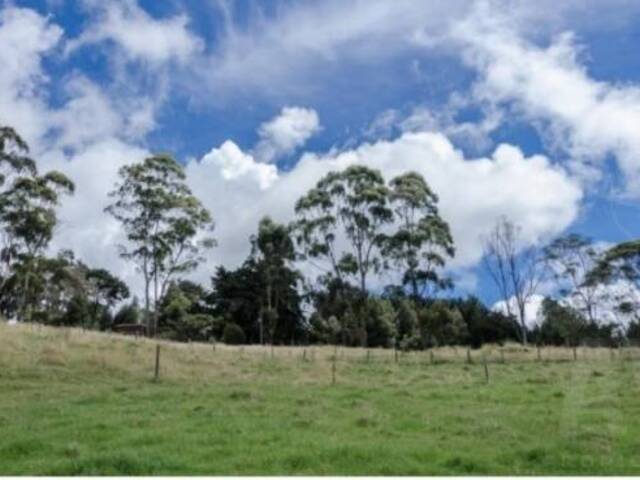 #1446 - Terreno para Venta en Envigado - ANT - 3