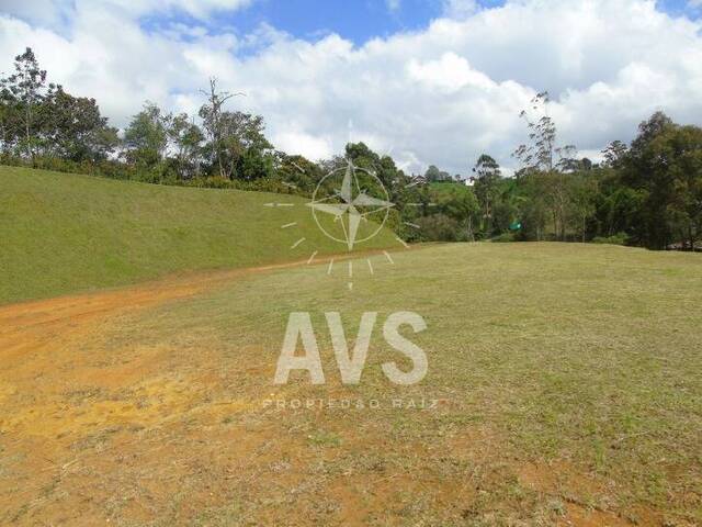 Terreno para Venta en Carmen de Viboral - 3