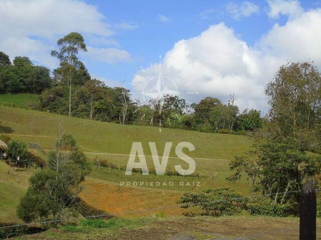 Terreno para Venta en Carmen de Viboral - 4