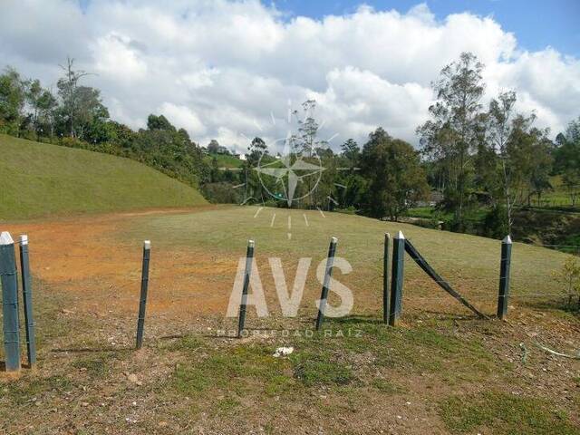 Terreno para Venta en Carmen de Viboral - 5