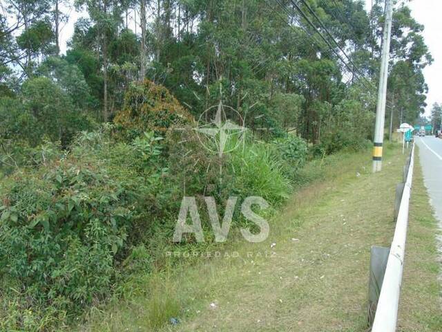 Terreno para Venta en Rionegro - 3