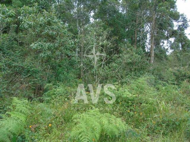 Terreno para Venta en Rionegro - 5