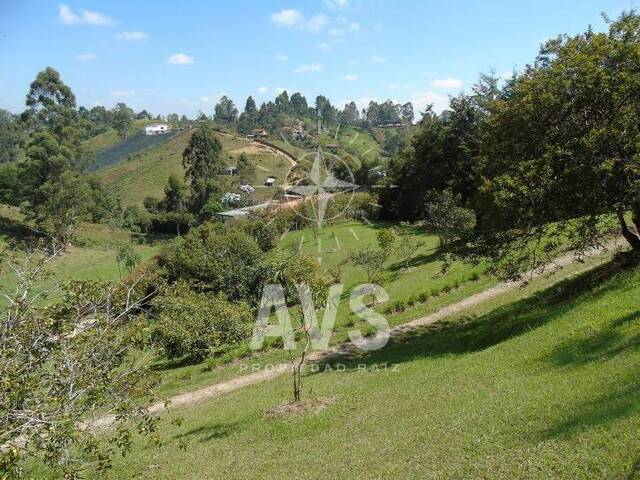 Terreno para Venta en Carmen de Viboral - 3