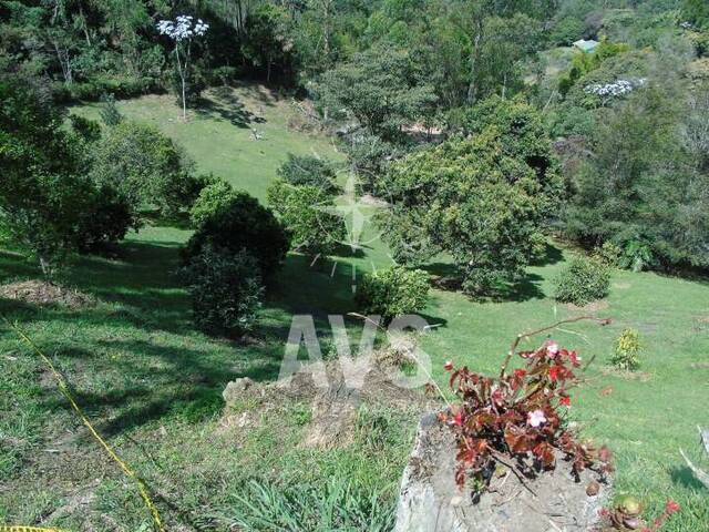 Terreno para Venta en Carmen de Viboral - 4