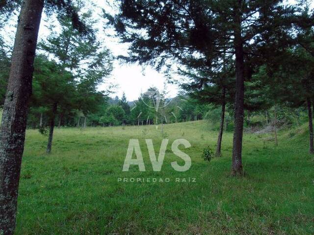 Finca para Venta en Retiro - 5