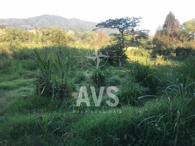 #2353 - Industrial para Venta en Guarne - ANT - 2