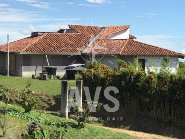 #2347 - Finca para Venta en Marinilla - ANT