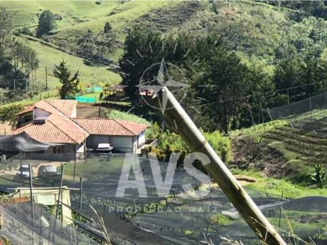 #2345 - Finca para Venta en Marinilla - ANT - 3