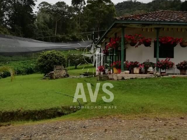 Finca para Venta en La Ceja - 5