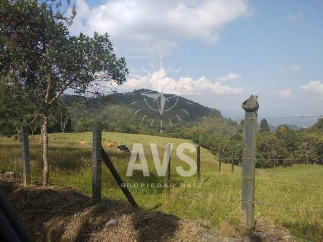 Terreno para Venta en Rionegro - 4