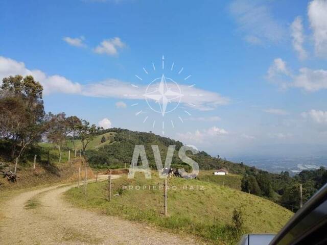 Terreno para Venta en Rionegro - 3