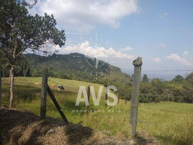 Terreno para Venta en Rionegro - 2