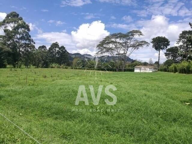 Terreno para Venta en Rionegro - 3