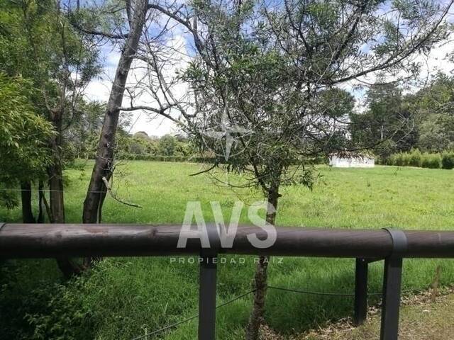 Terreno para Venta en Rionegro - 5