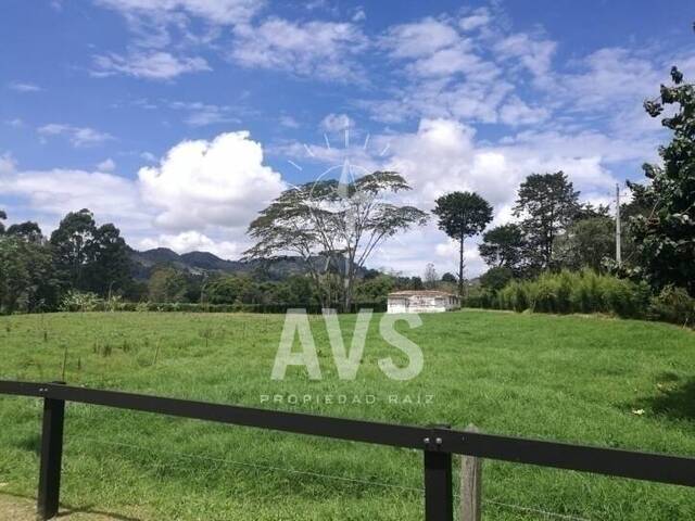 Terreno para Venta en Rionegro - 4
