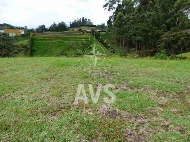 #2449 - Terreno para Venta en Carmen de Viboral - ANT - 2