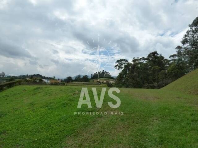 Terreno para Venta en Carmen de Viboral - 4