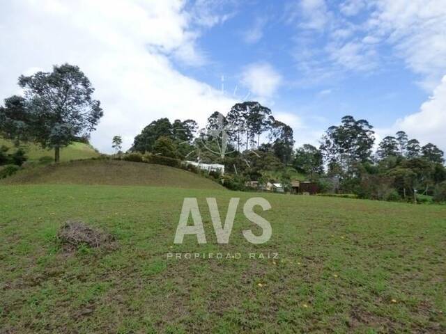Terreno para Venta en Carmen de Viboral - 5
