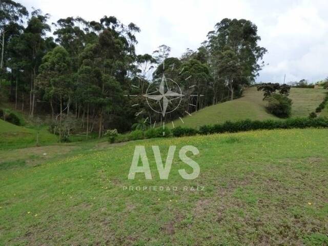 #2449 - Terreno para Venta en Carmen de Viboral - ANT - 3