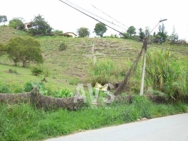 Terreno para Venta en Rionegro - 2