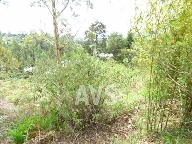 Terreno para Venta en Rionegro - 5