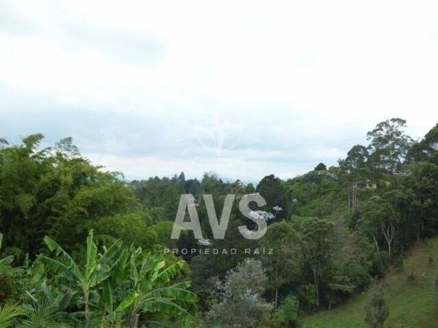 Terreno para Venta en Rionegro - 3