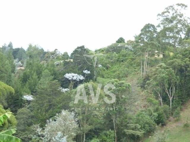 Terreno para Venta en Rionegro - 4