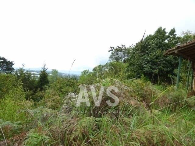 Terreno para Venta en Rionegro - 2