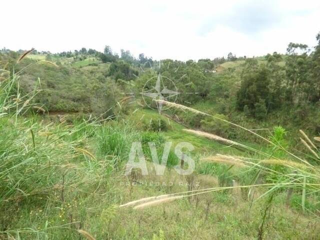 Finca para Venta en Rionegro - 4