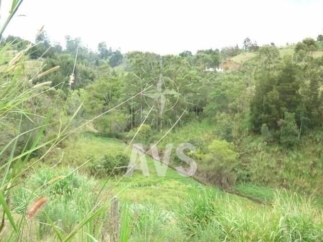 #2470 - Finca para Venta en Rionegro - ANT - 3