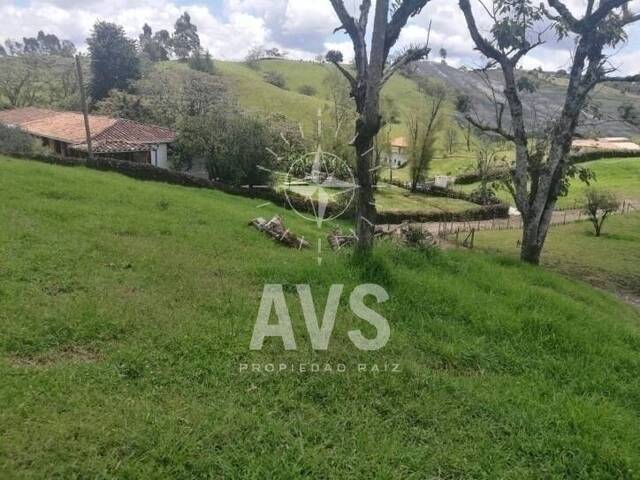 Terreno para Venta en Carmen de Viboral - 2